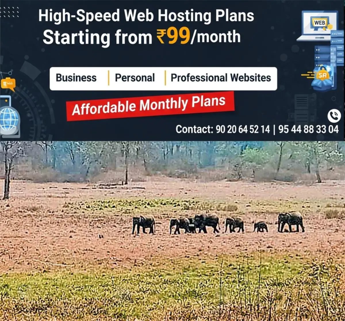newskerala.net_1774332123_wayanad-elephant-migration-1
