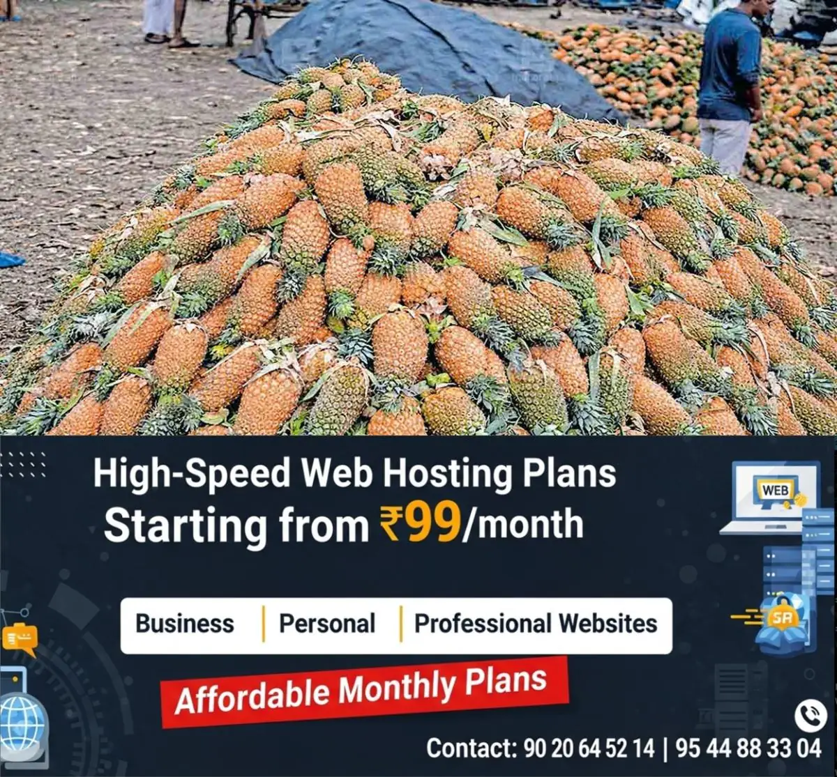newskerala.net_1774768347_pineapple-market-1