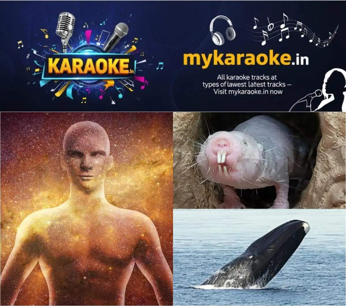 newskerala.net_1774807453_w-1280h-720format-jpgimgid-01kmxbct1t1exh8qeqzbrd4y7pimgname-immortal-1774806526010