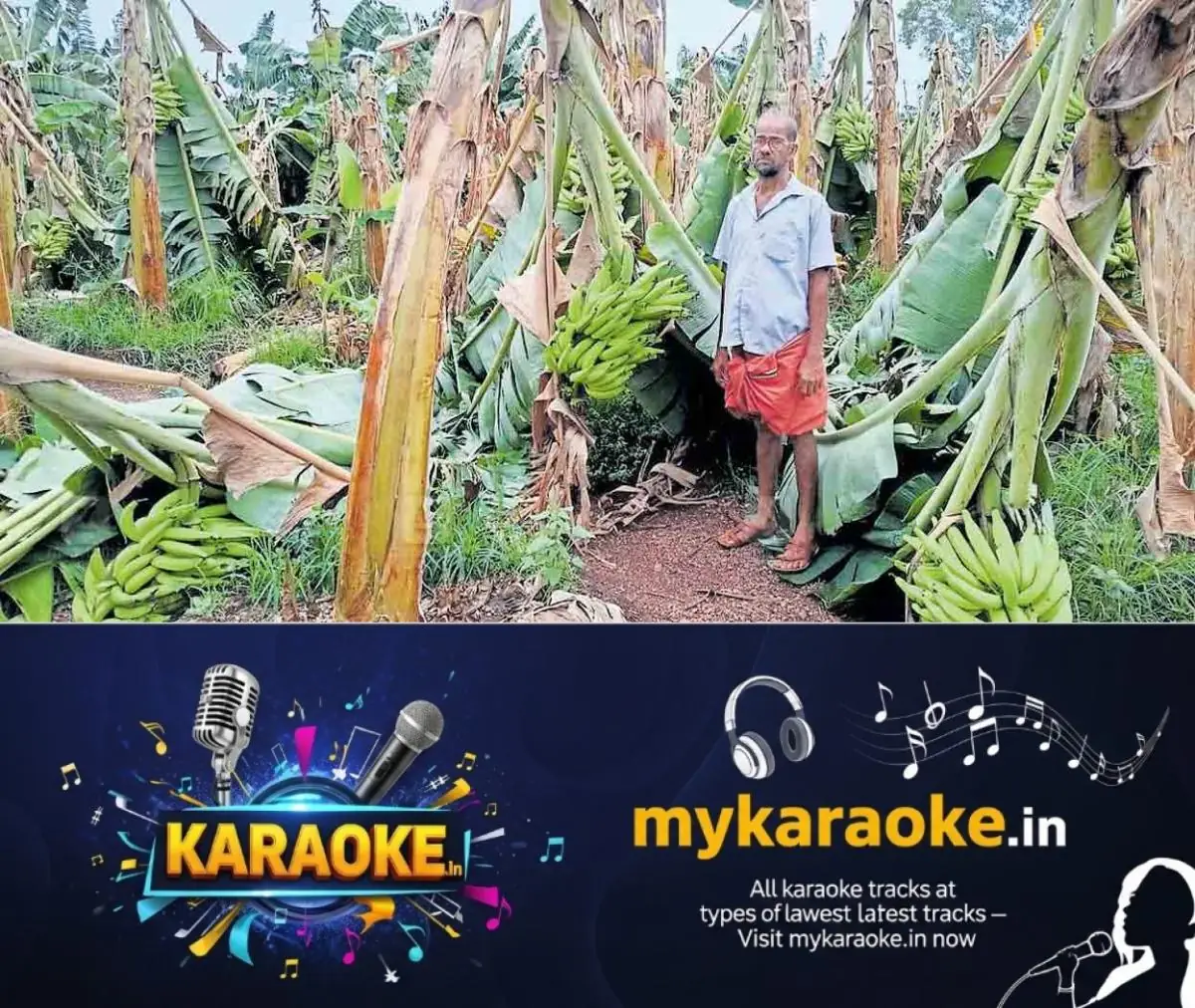 newskerala.net_1774842987_periye-banana-crop-damage-1