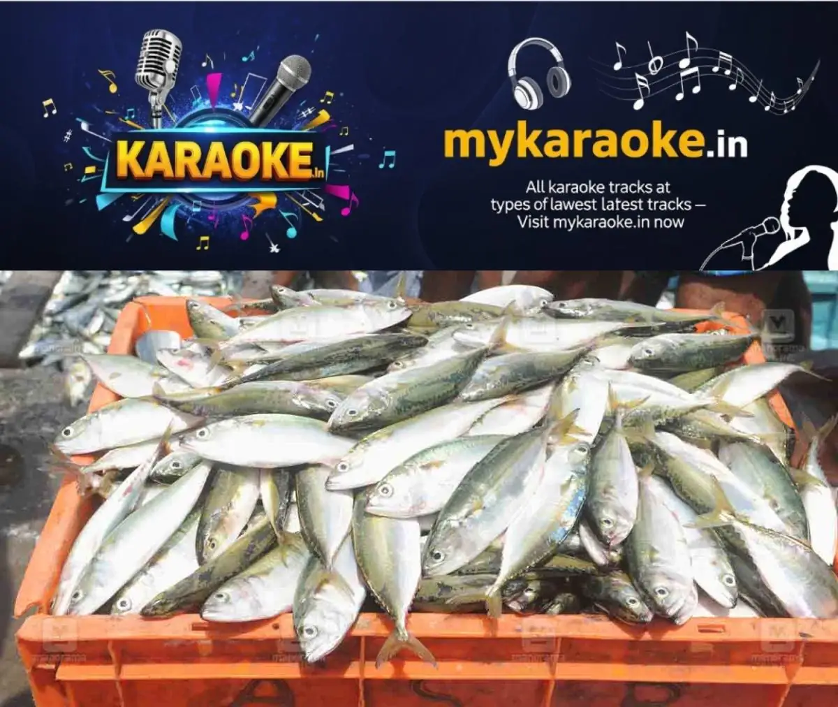 newskerala.net_1774999503_ayala-fish-1