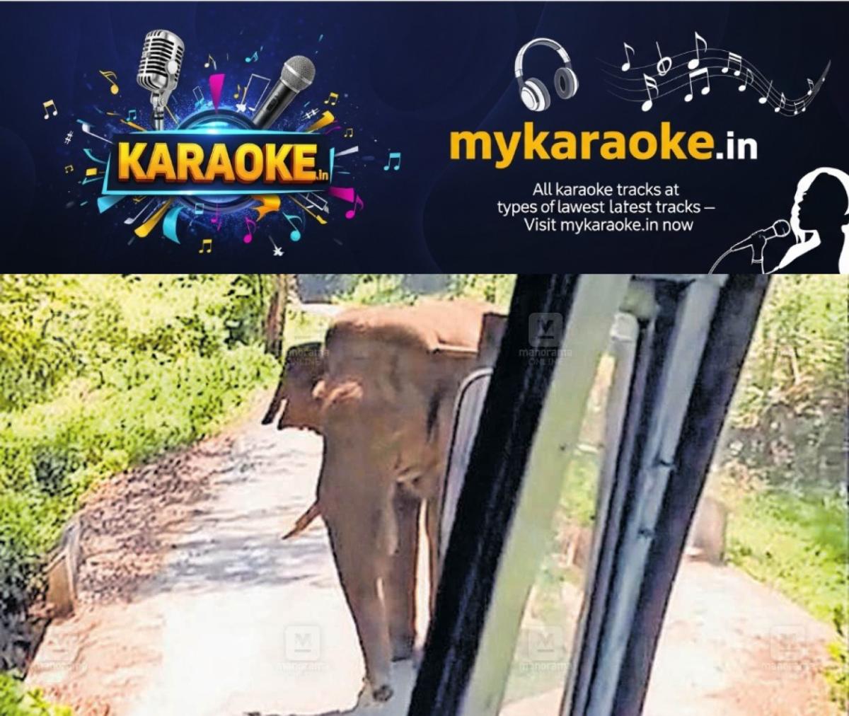 newskerala.net_1775010243_ksrtc-bus-elephant-attack-achankovil-1