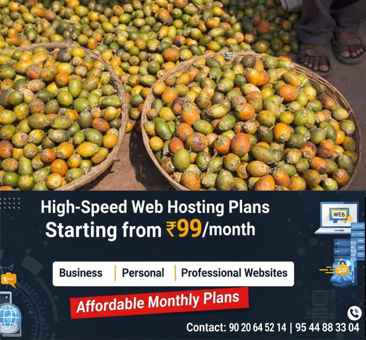 newskerala.net_1775361743_arecanut-3