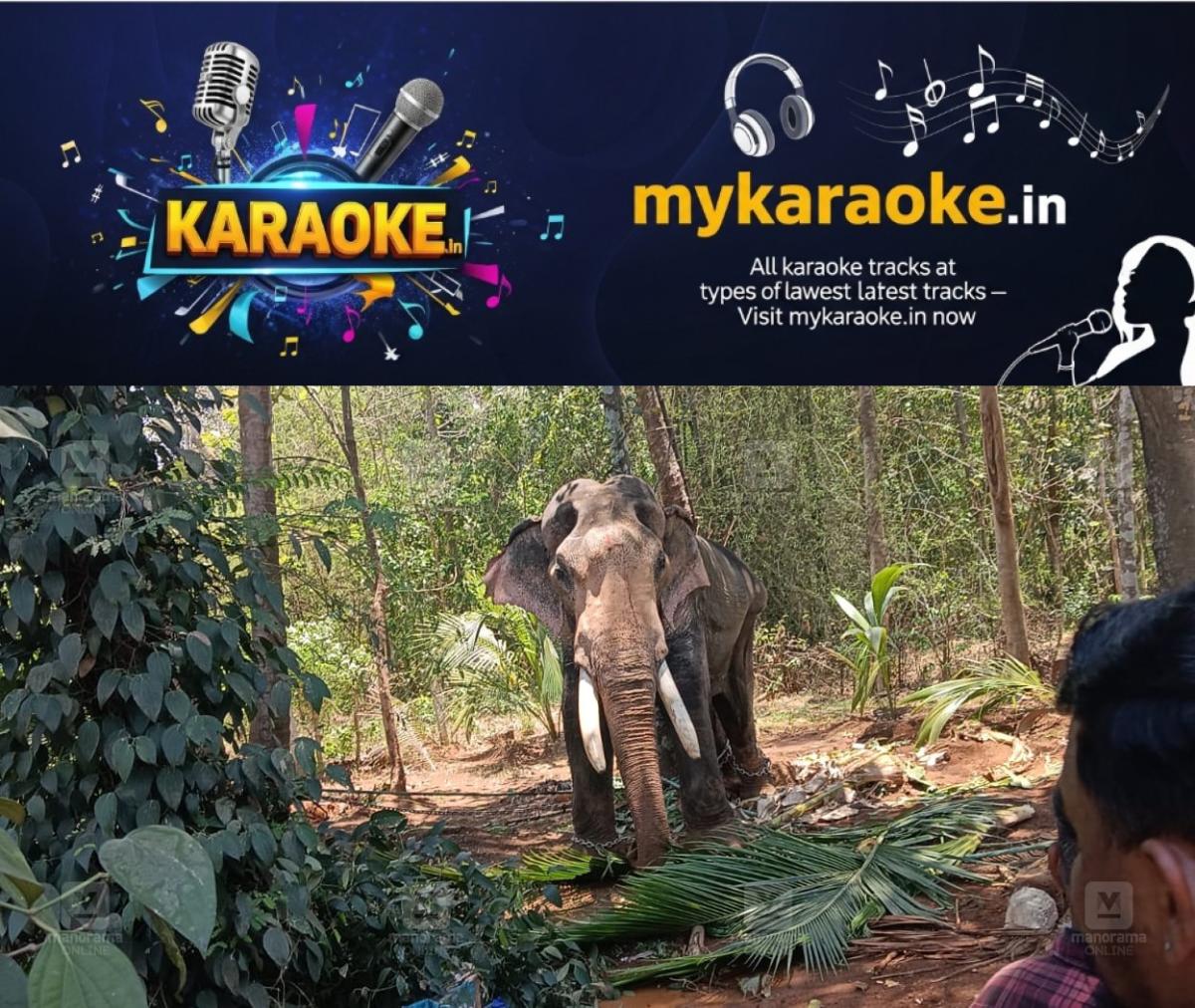 newskerala.net_1775567185_palakkad-elephant-rampage-1