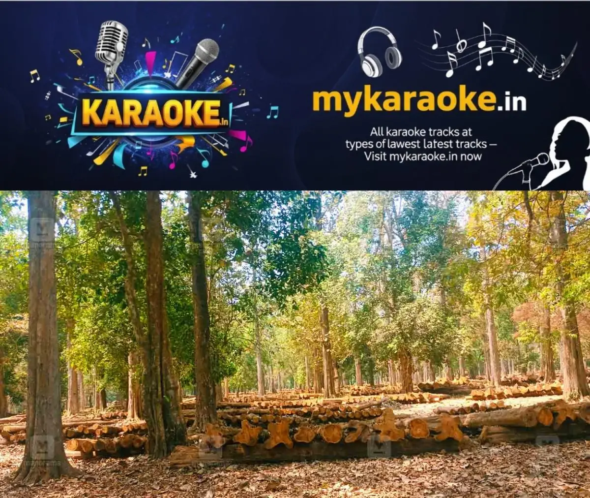 newskerala.net_1775889747_Teak-local