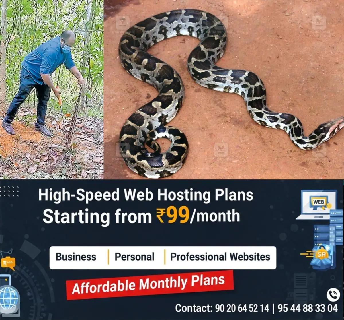 newskerala.net_1775979484_python-kottayam-2