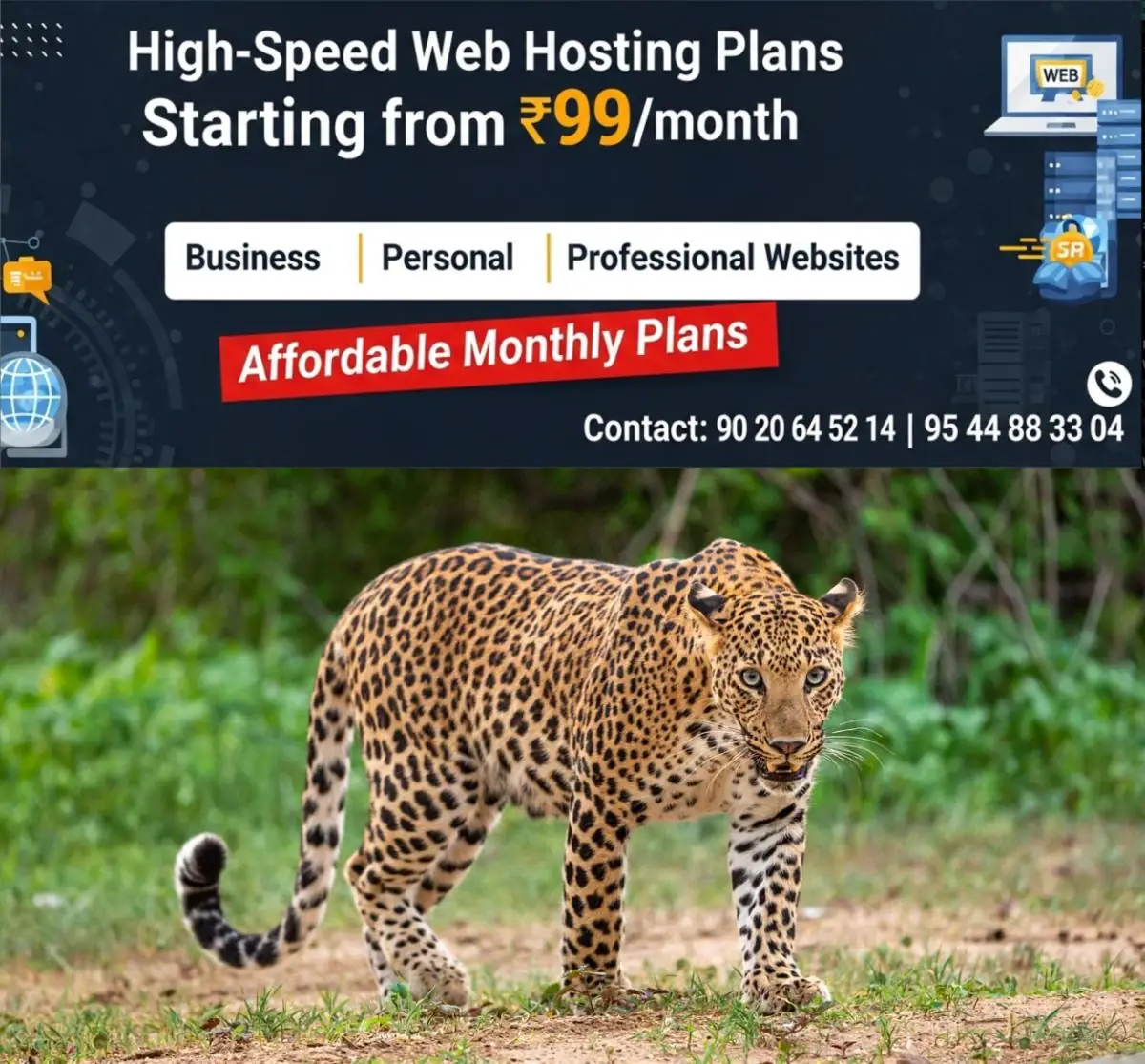 newskerala.net_1776149888_male-leopard-110801