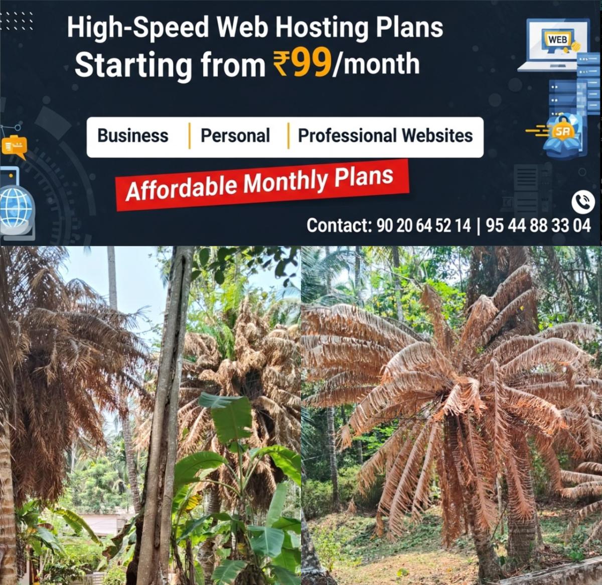 newskerala.net_1776243725_w-1280h-720format-jpgimgid-01kp85v57wqq5y750k9rhf15d5imgname-fotojet-2026-04-15t142843.150-177