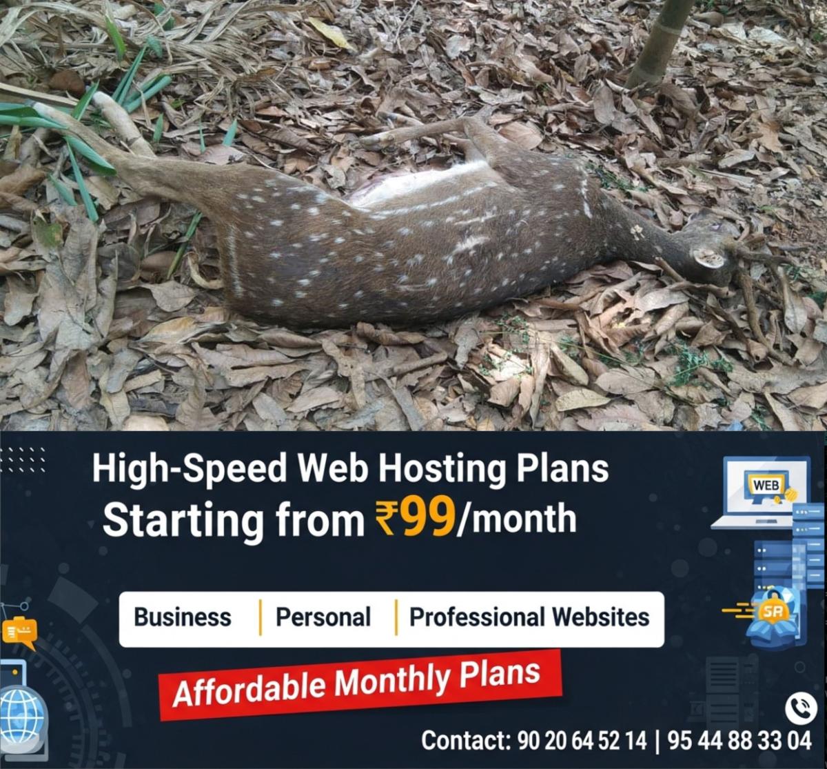 newskerala.net_1776354745_deer-calf-died