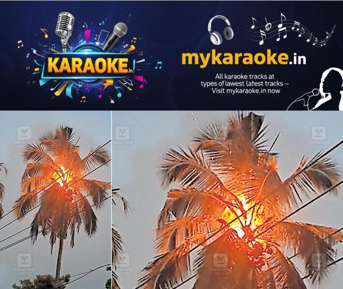 newskerala.net_1776406623_coconut-tree-catches-fire-vishu-1