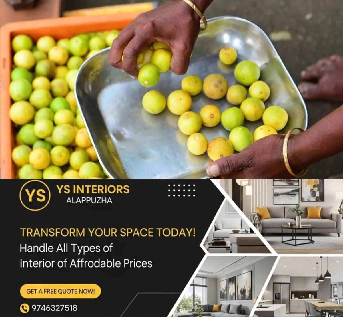 newskerala.net_1776514583_lemon-main