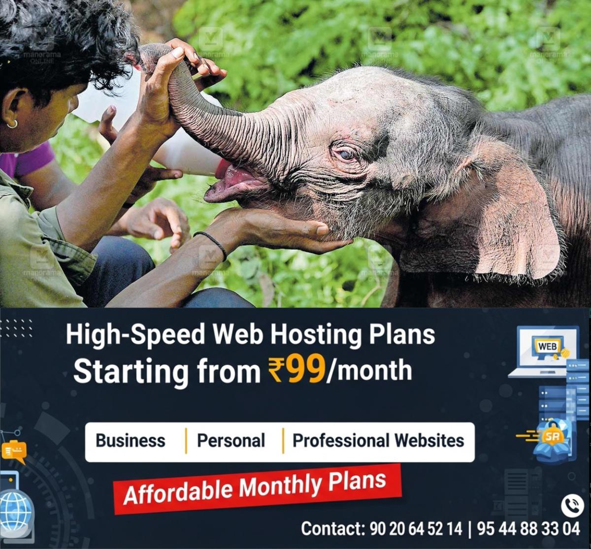 newskerala.net_1776526702_agali-abandoned-baby-elephant-attapadi