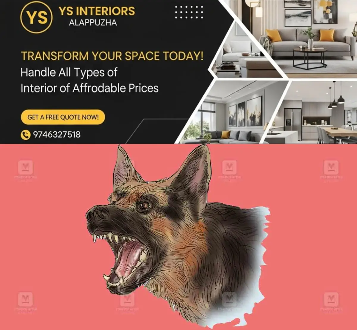 newskerala.net_1776690616_ernakulam-stray-dog-sketch