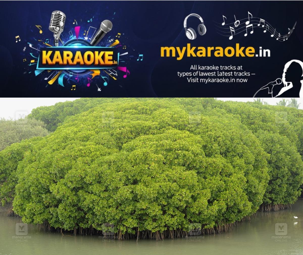 newskerala.net_1776694819_kadalundi