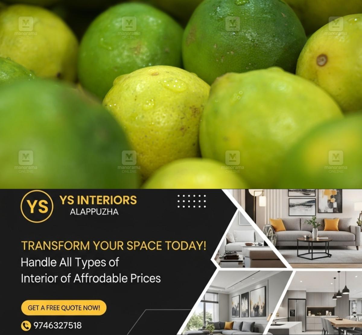 newskerala.net_1776739089_lemon-1