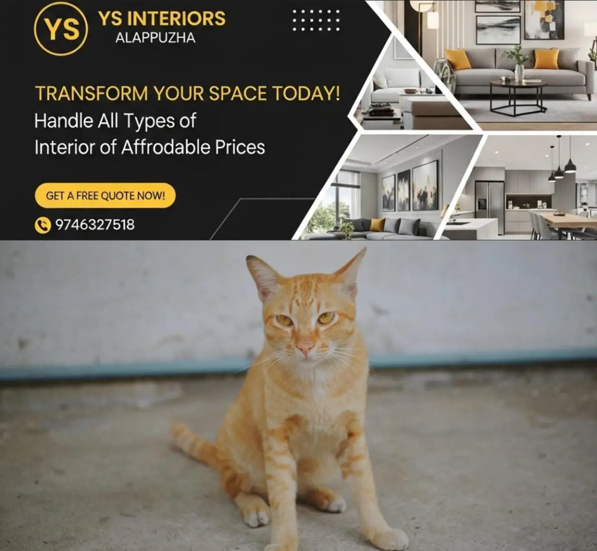 newskerala.net_1776752774_cat-photo-istock-1