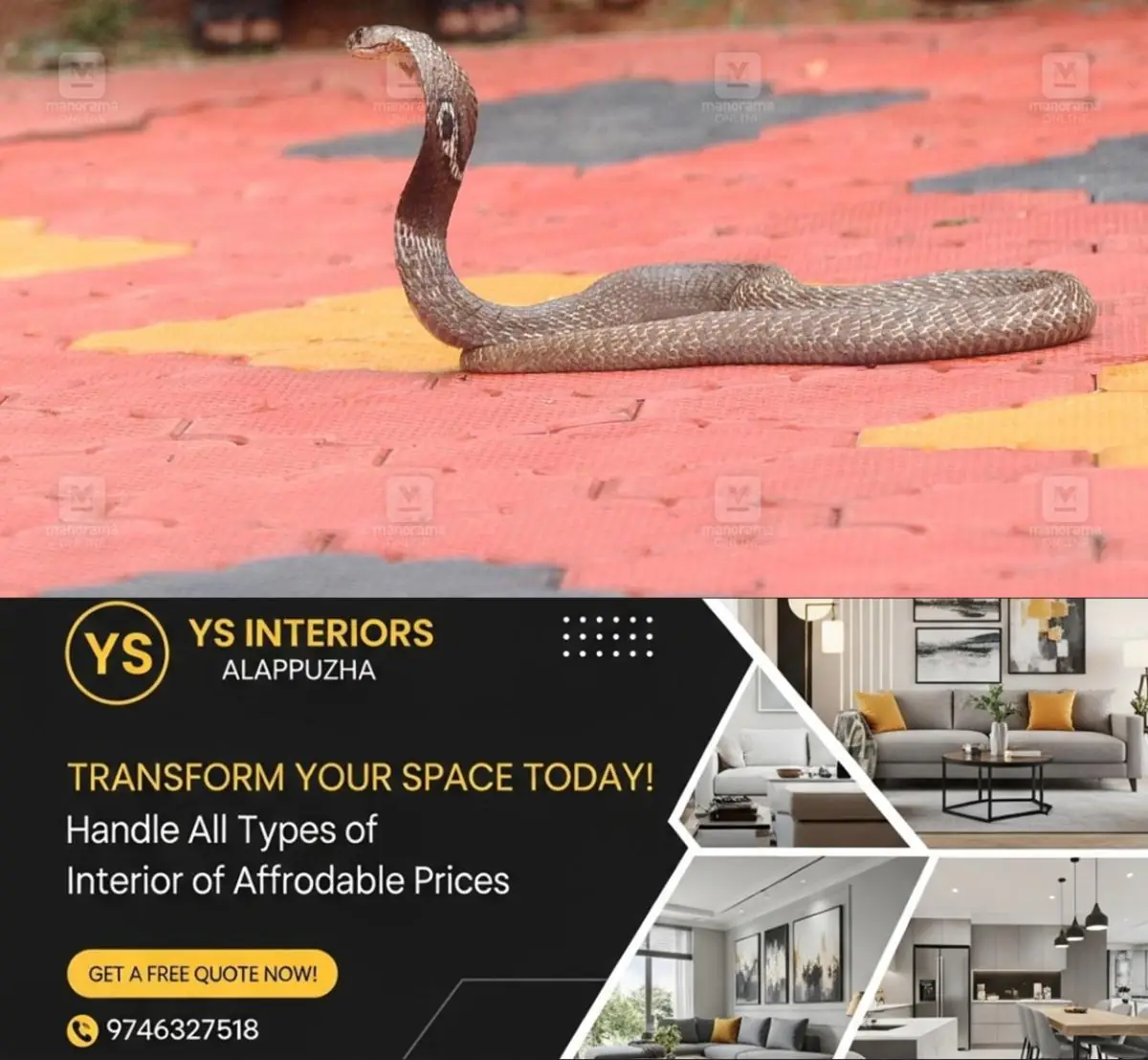 newskerala.net_1776754814_snake-local-news