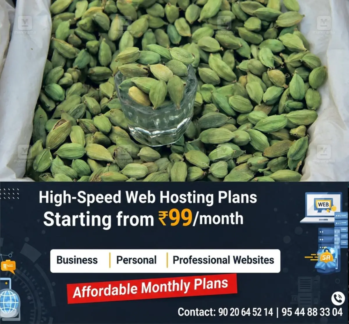 newskerala.net_1776828549_cardamom-1