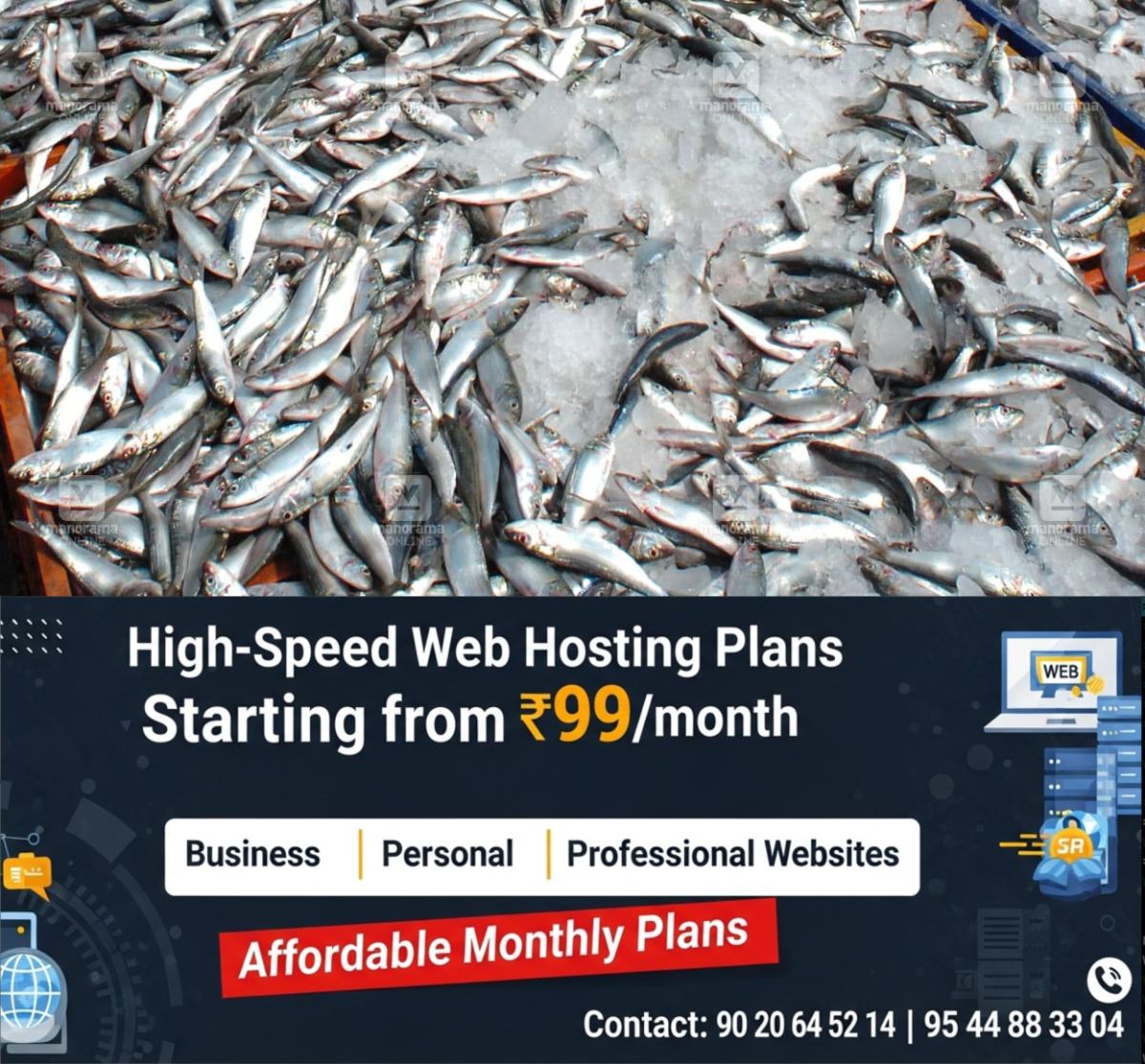 newskerala.net_1776837903_sardine-fish-1
