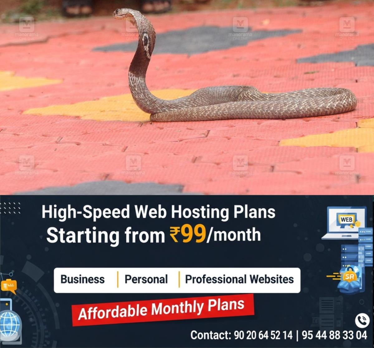 newskerala.net_1776869943_snake-local-news
