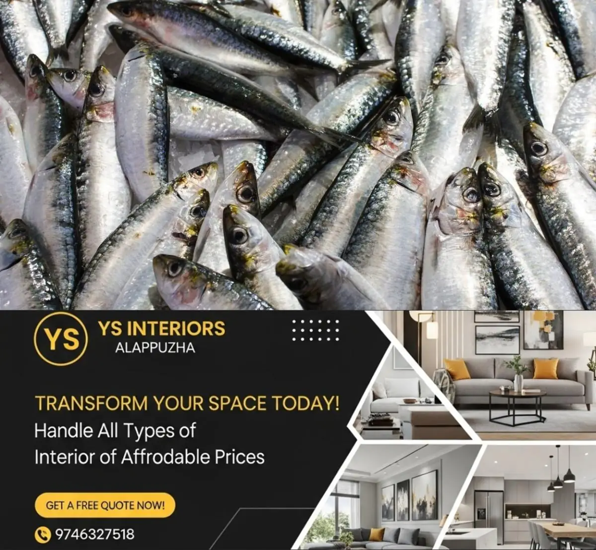 newskerala.net_1776916983_sardine