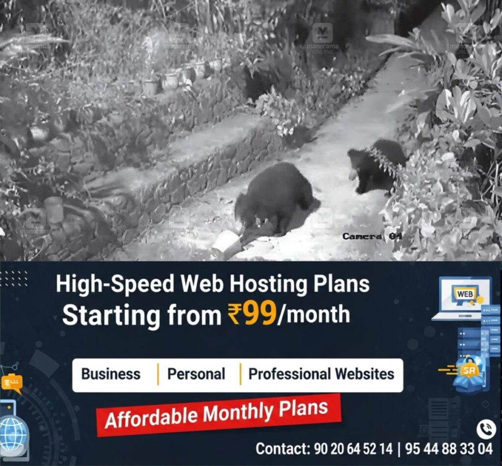 newskerala.net_1776926103_mullayar-bear-sighting