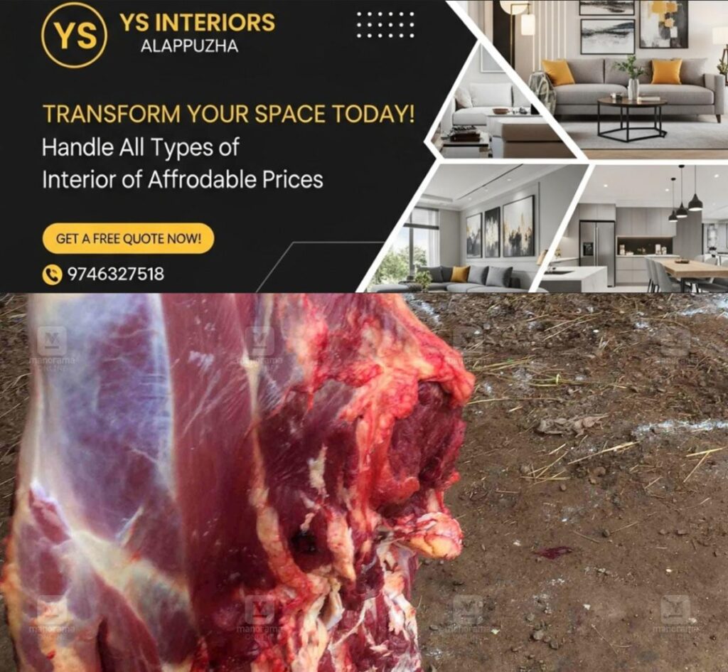 newskerala.net_1777002904_meat-local-news