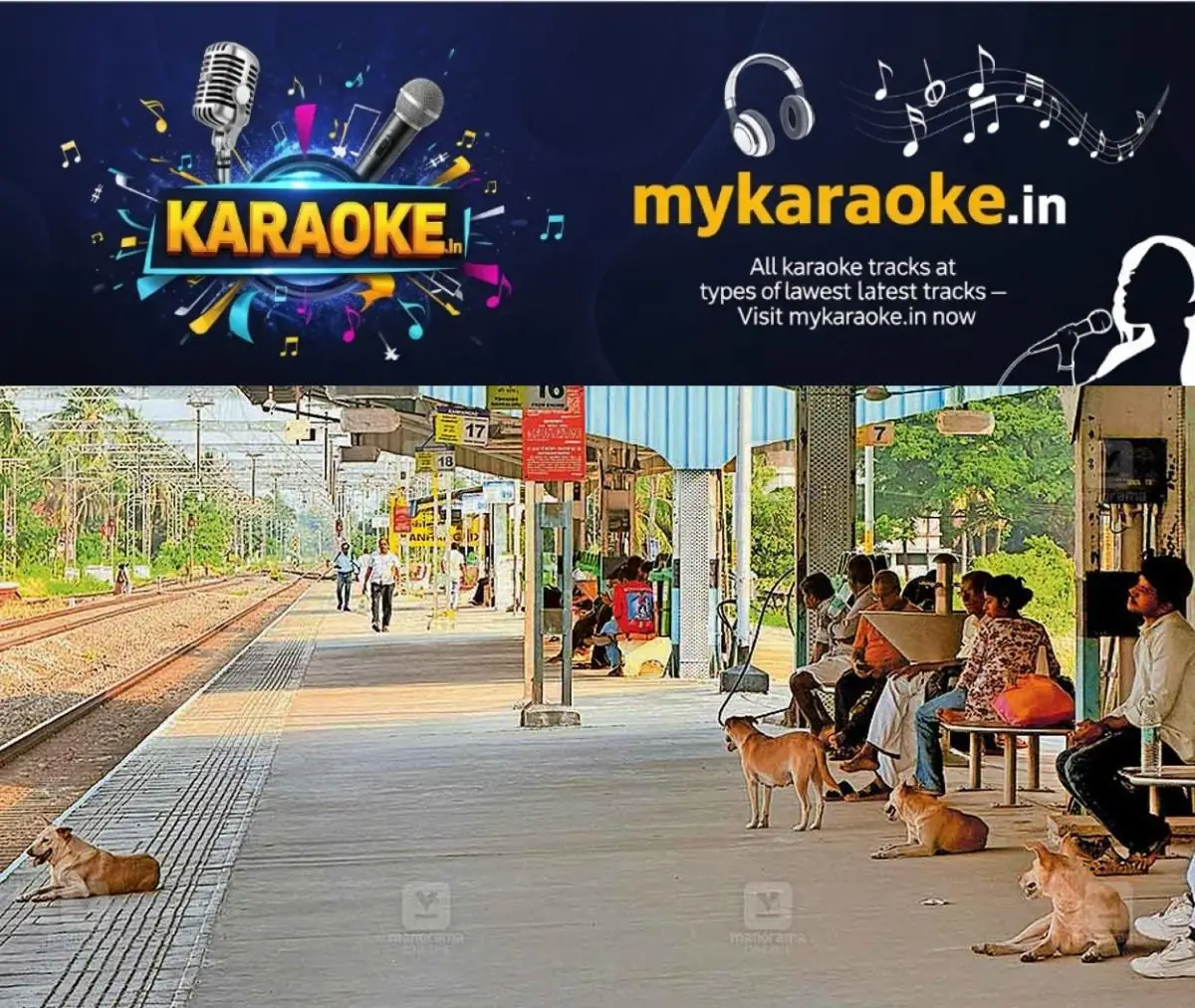 newskerala.net_1777009264_kasargod-railway-station-stray-dogs