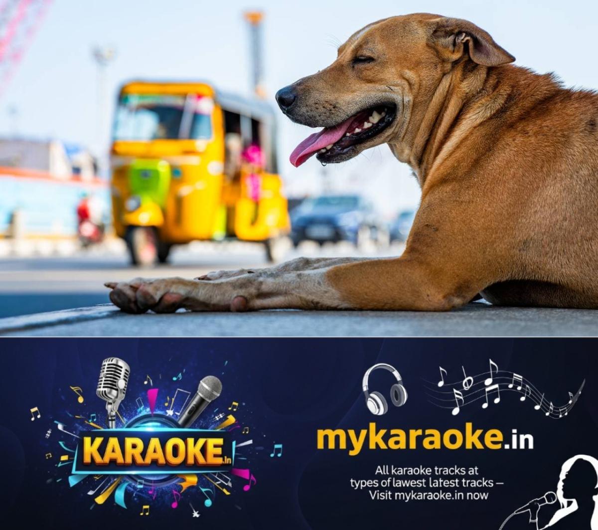 newskerala.net_1777066383_w-1280h-720format-jpgimgid-01kpfy1nf8pw4n67b4b0e65866imgname-new-project-2026-04-18t144532.441