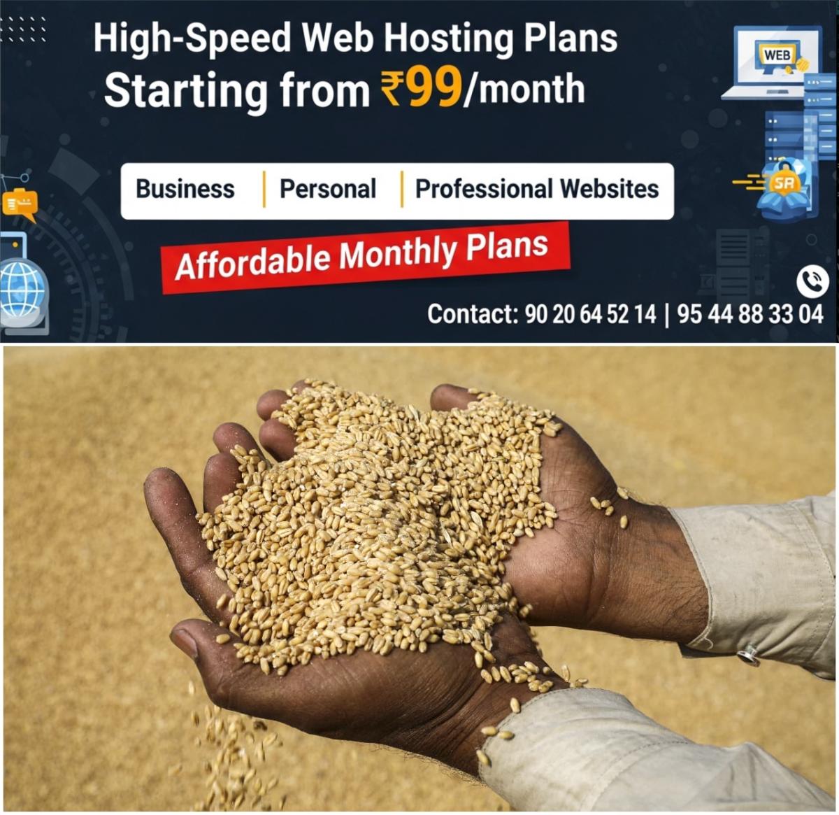newskerala.net_1777094584_w-1280h-720format-jpgimgid-01kq1gkpvzrwxcv1ns7gtyx4k6imgname-wheat-1777093696383