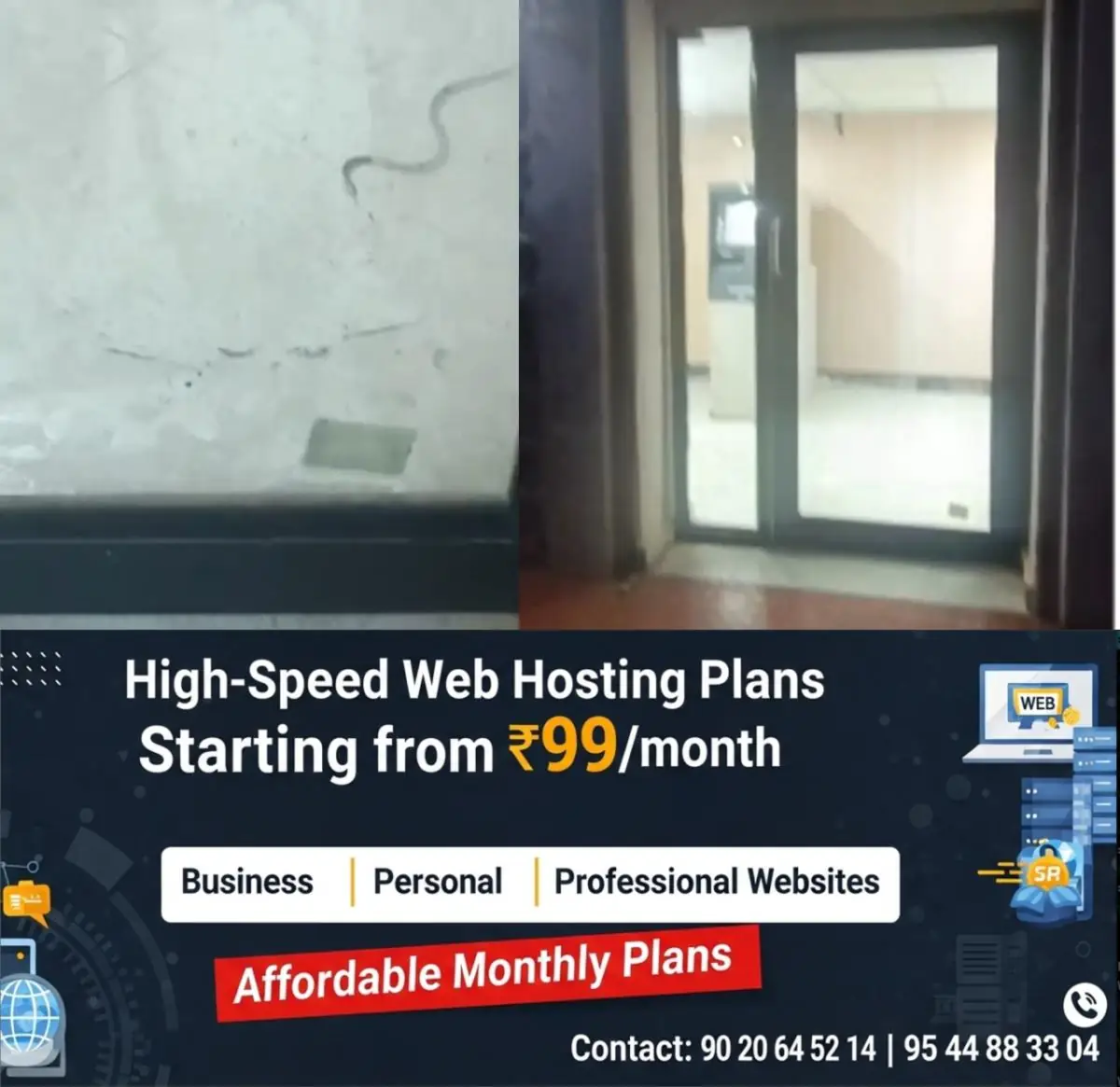 newskerala.net_1777130943_w-1280h-720format-jpgimgid-01kq2kzqm2bz9768nqymkn2epwimgname-snake-1777130790530