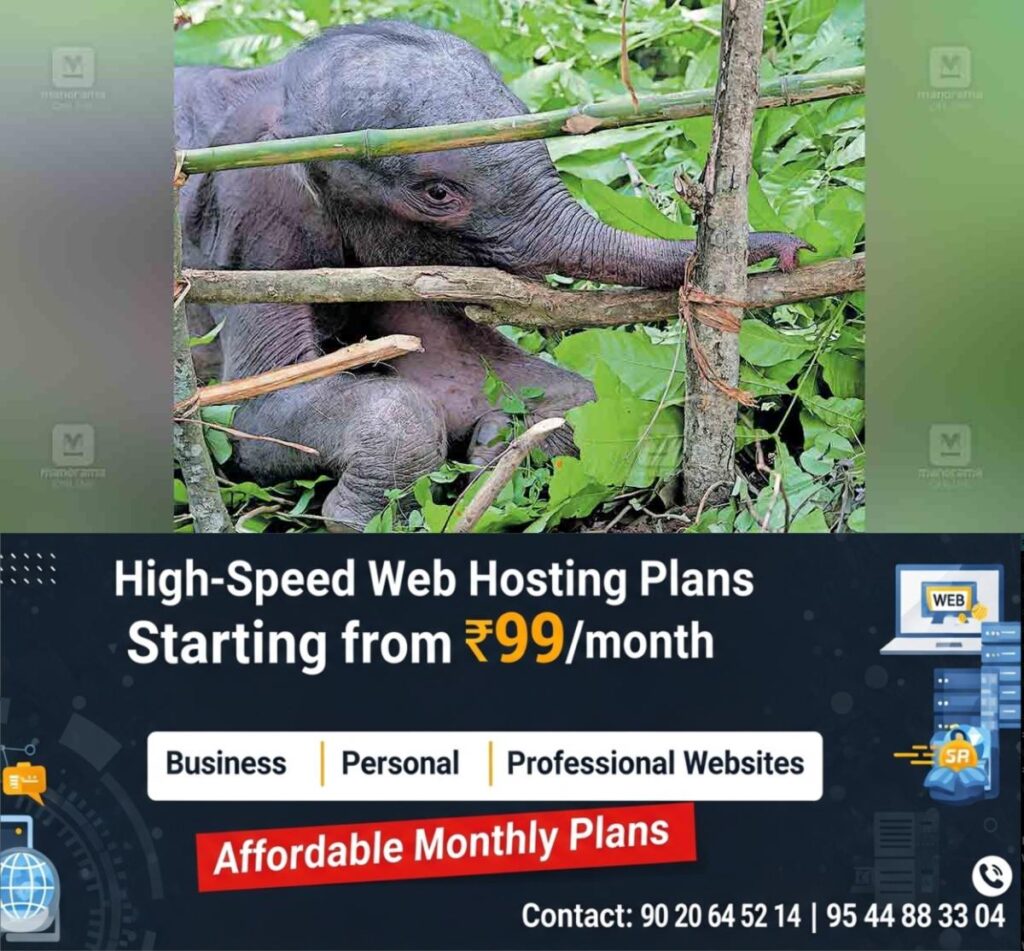 newskerala.net_1777271464_elephant-died-palakkad