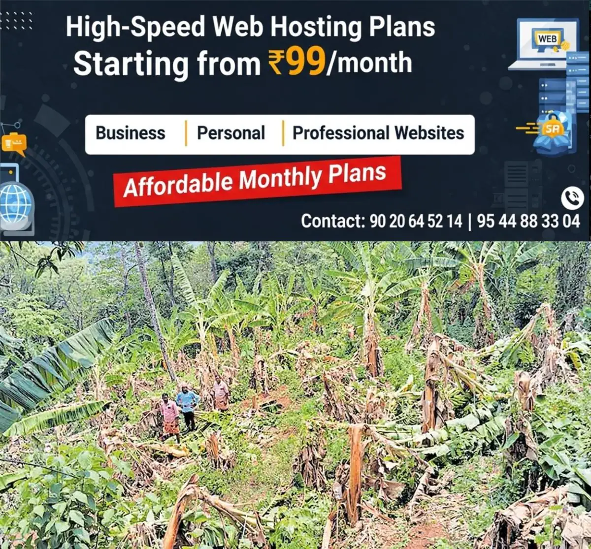 newskerala.net_1777272543_banana-farming-loss