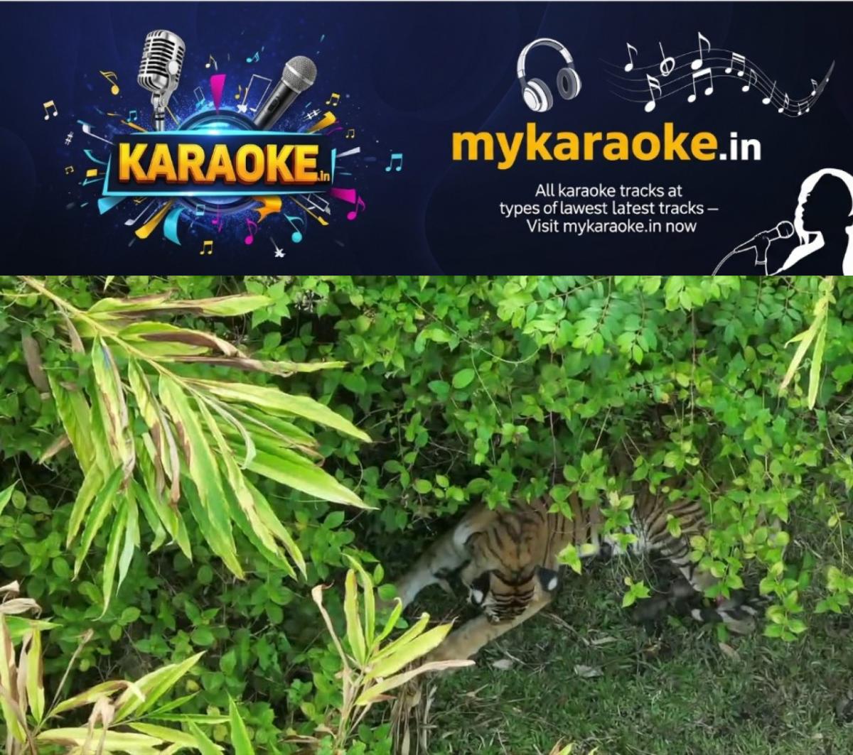 newskerala.net_1777273023_w-1280h-720format-jpgimgid-01kq6vd4pycd750wpc8mbkvsk6imgname-fotojet-2026-04-27t122253.331-177
