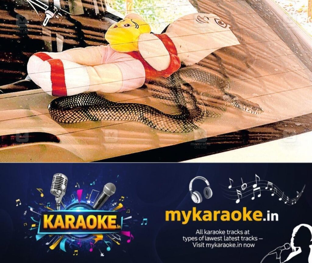 newskerala.net_1777351143_snake-in-car-muttom-1