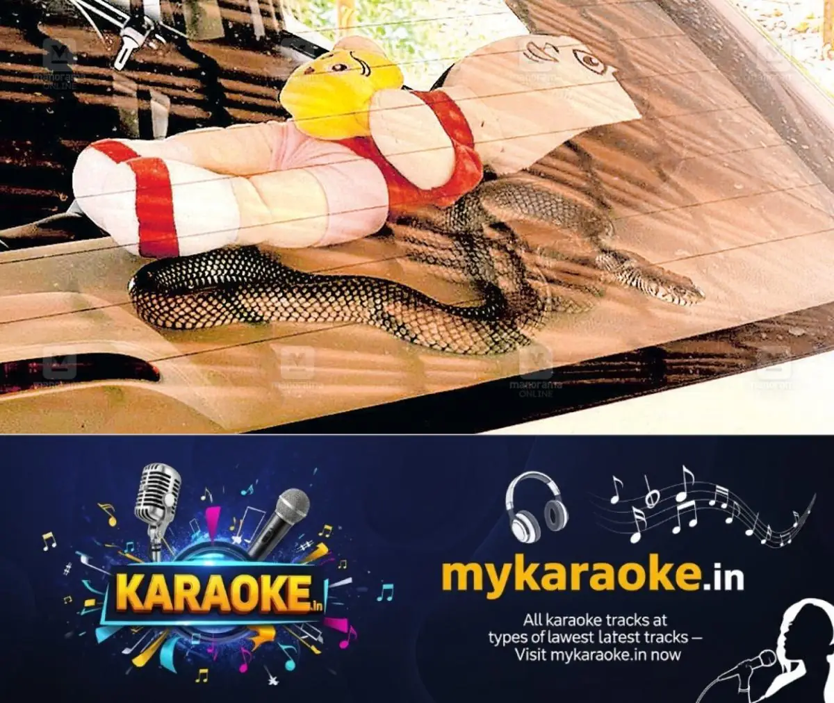 newskerala.net_1777351143_snake-in-car-muttom-1