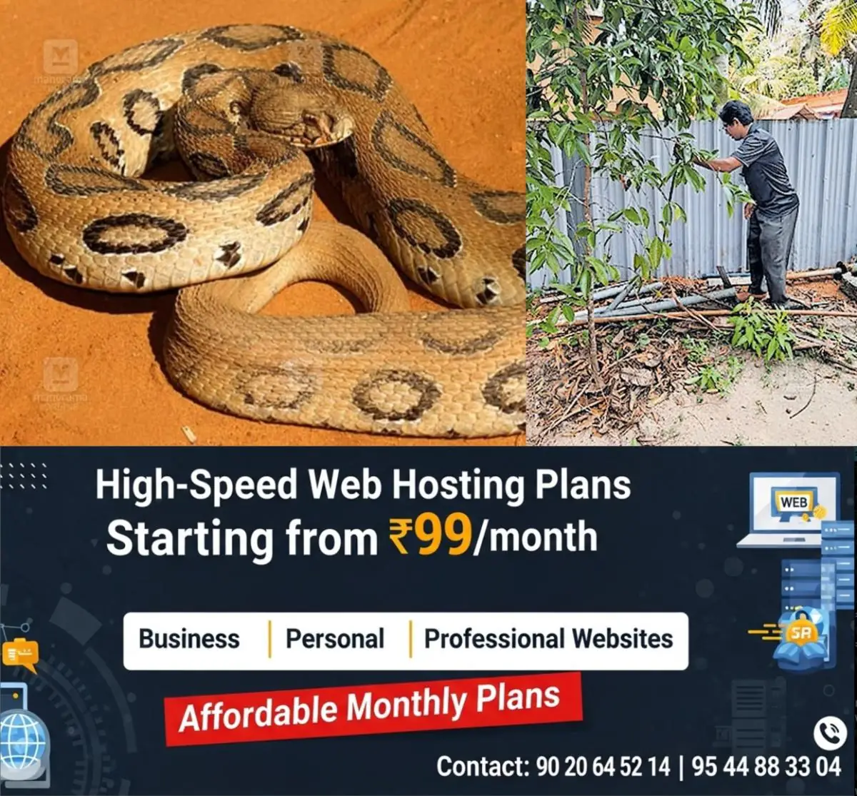 newskerala.net_1777354263_snake-bite-haripad-1