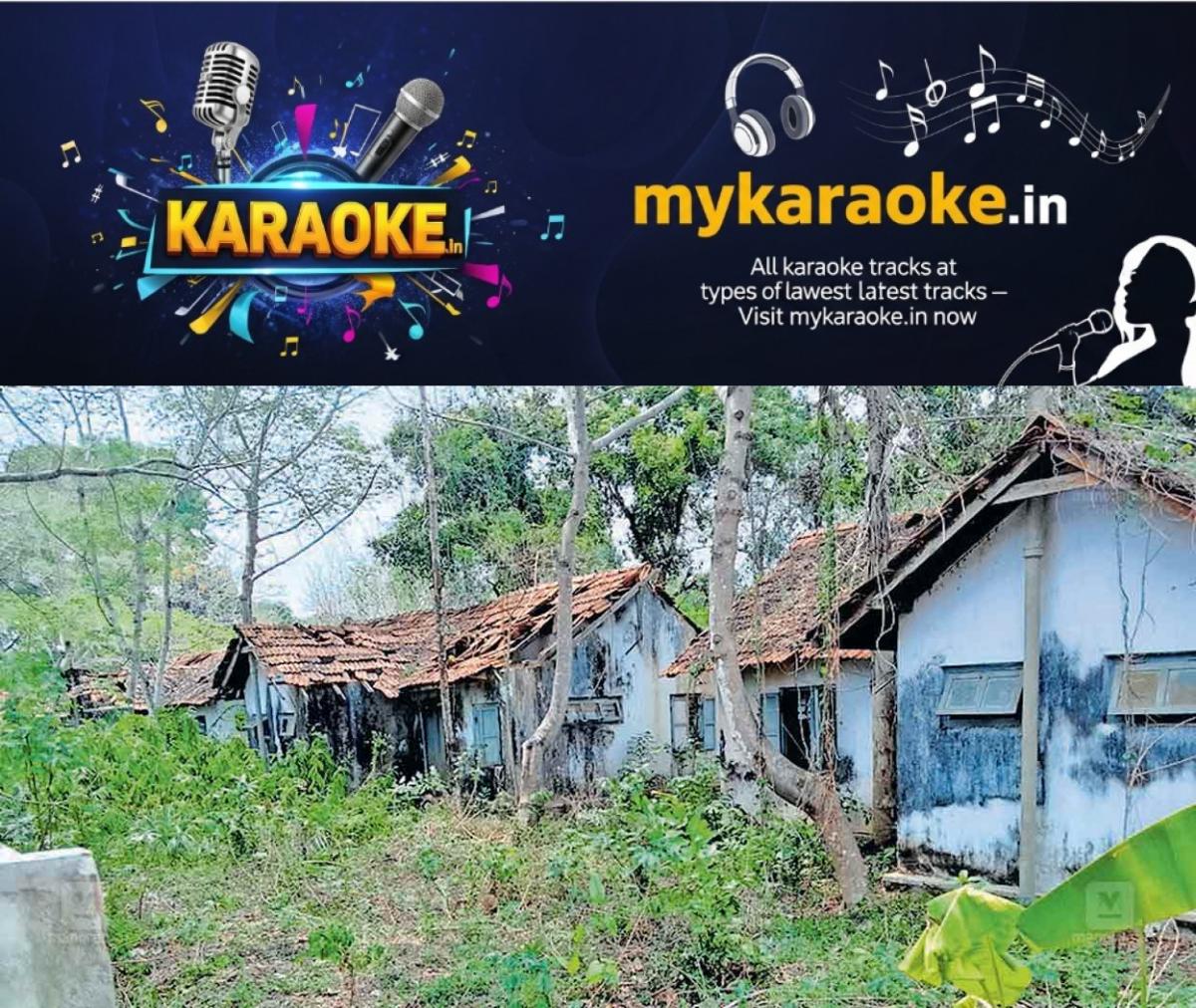 newskerala.net_1777440543_pandalam-police-snake-fear