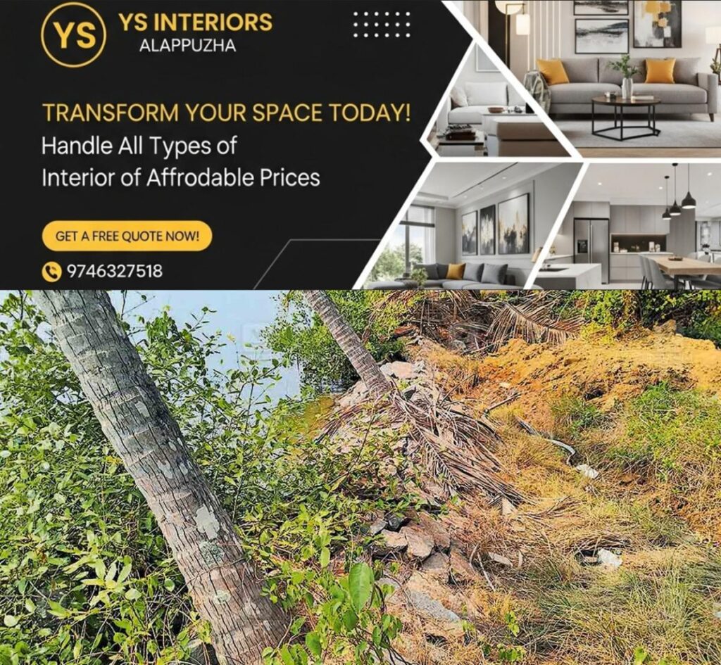 newskerala.net_1777458303_pappinissery-thuruthi-area