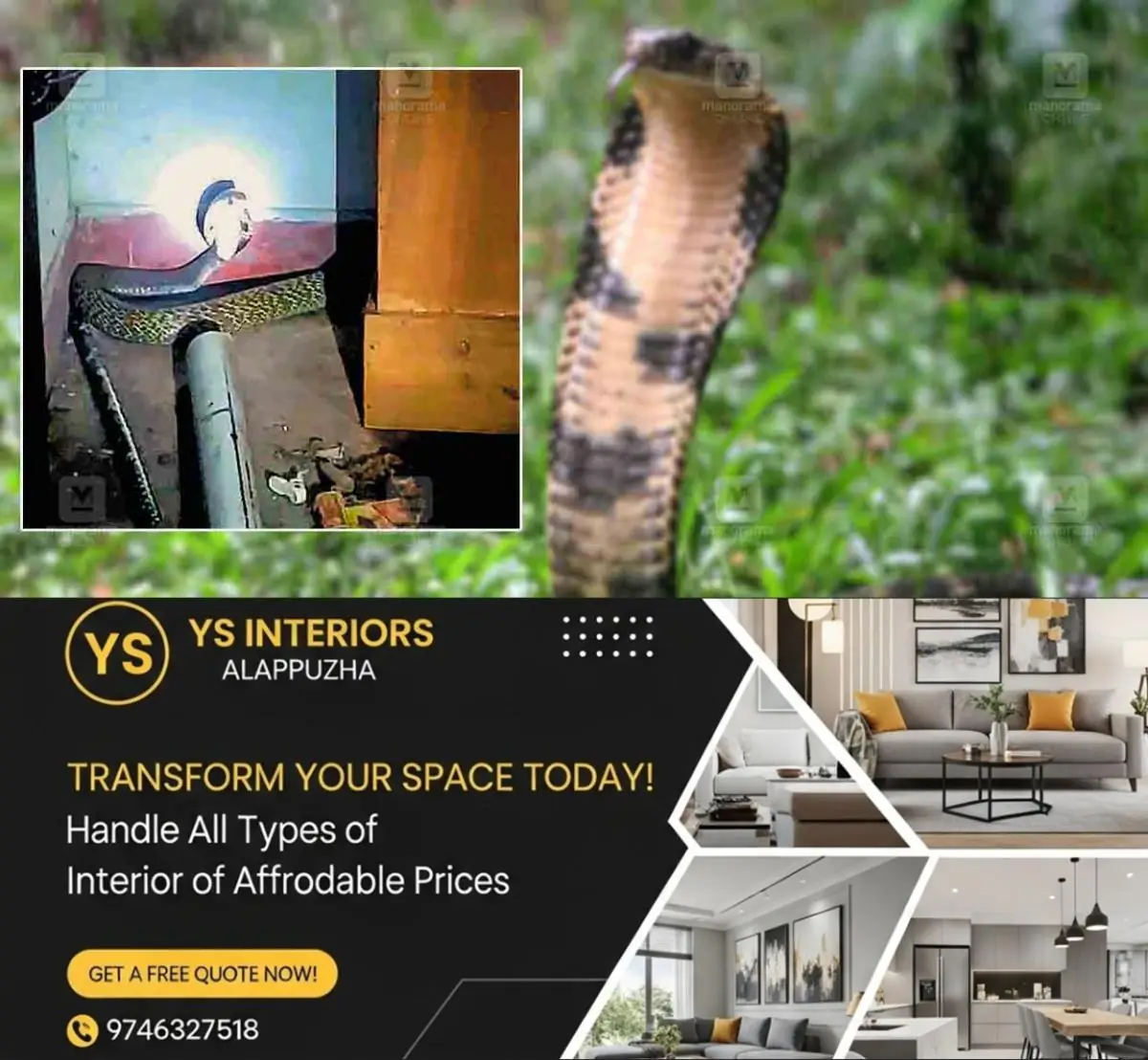 newskerala.net_1777461903_cobra-house