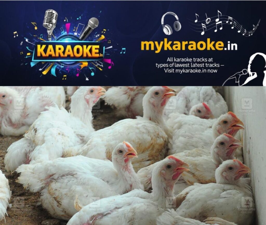 newskerala.net_1777472943_chicken-local-news