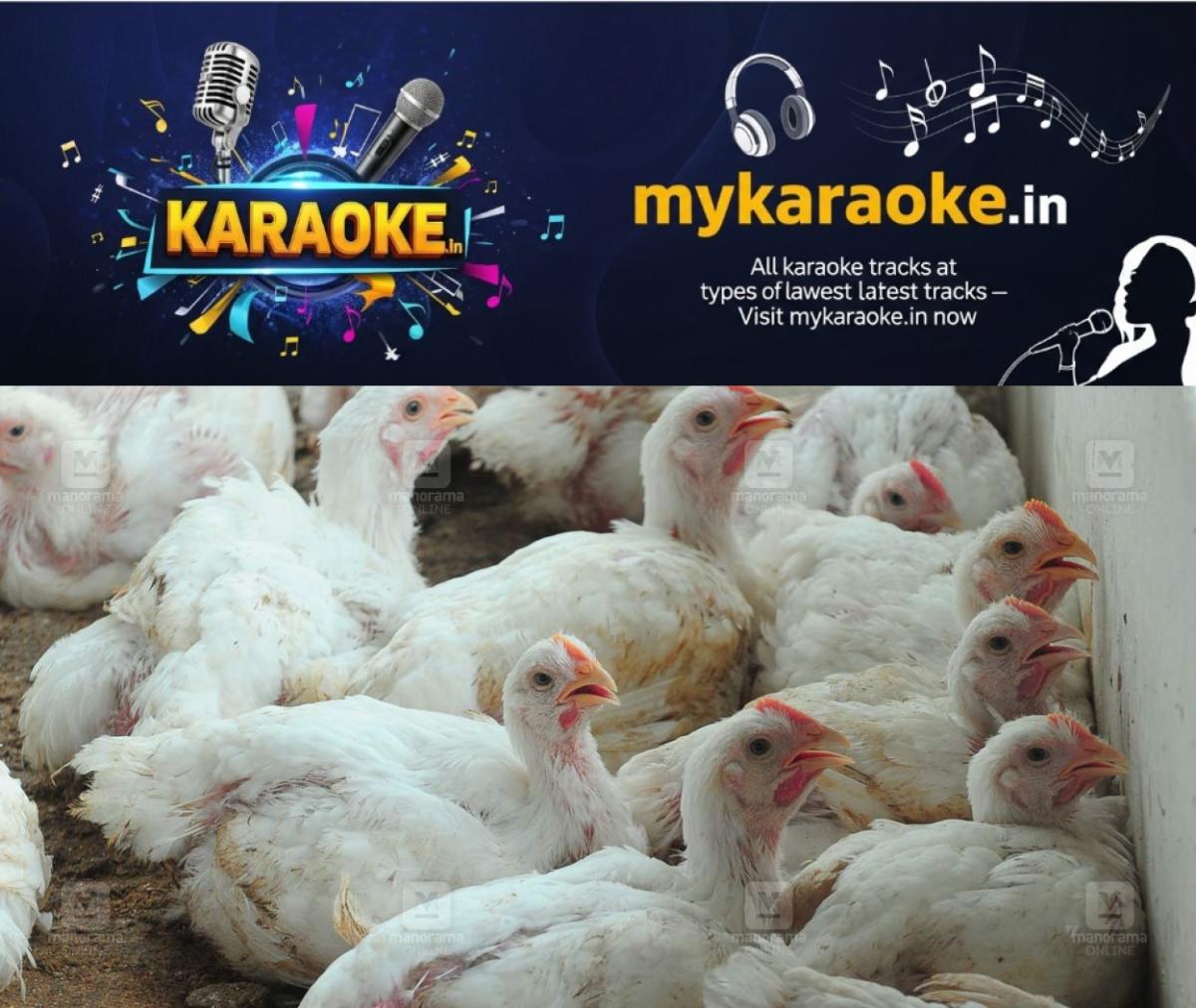 newskerala.net_1777472943_chicken-local-news