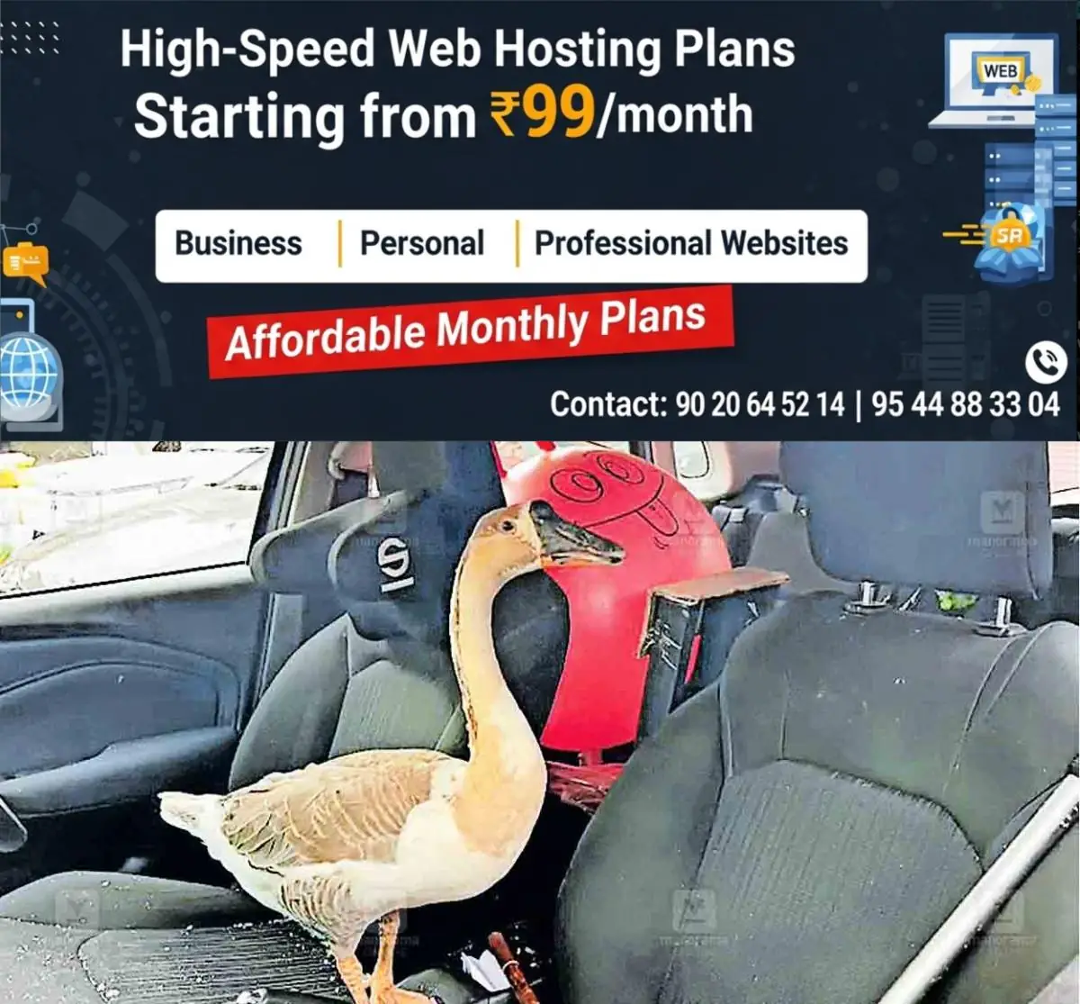 newskerala.net_1777570982_car-duck-ekm