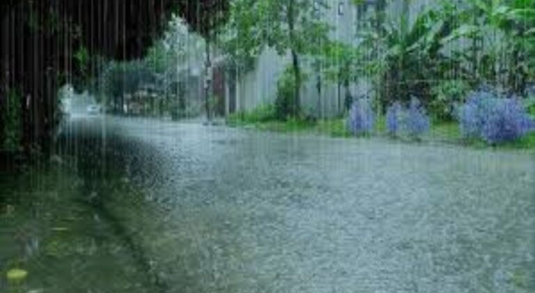 rain-1.jpg