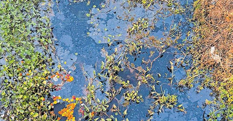cherpu-water-pollution.jpg