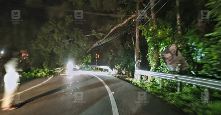 heavy-rain-tree-fall-chirakkadavu-1.jpg