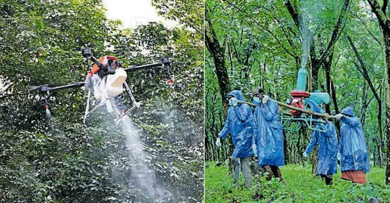 i-rubber-plantation-spraying.jpg