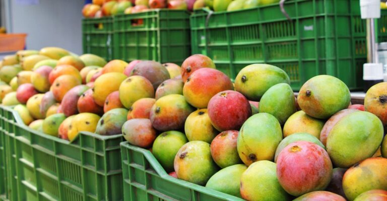 mango-natbits-istockphoto.jpg