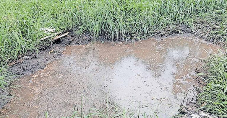 mararikulam-waste-dumping-nh.jpg