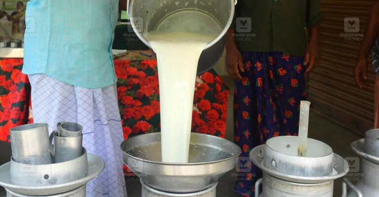 milk-local-news.jpg
